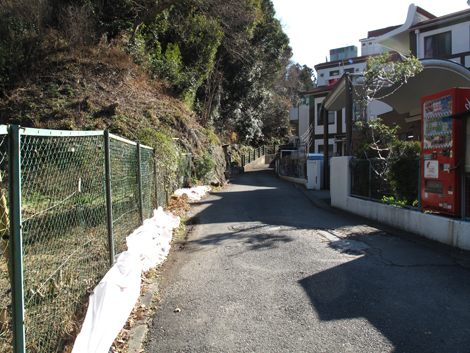 20180110hike (8)